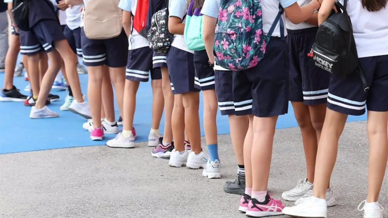 Unos ni&ntilde;os y ni&ntilde;as en un colegio.