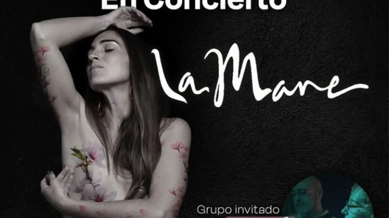 Cartel del concierto de La Mare en Fuenlabrada por el 25N.