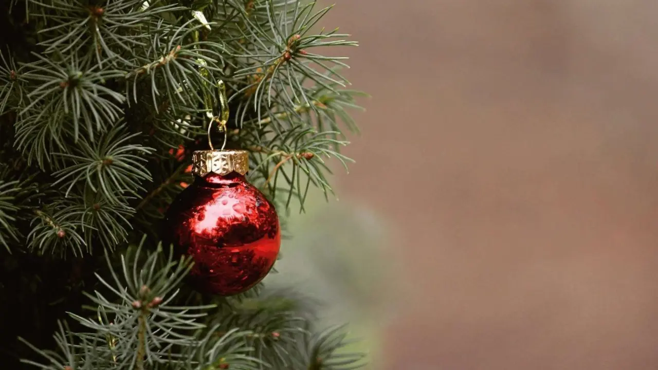 &Aacute;rbol de navidad en una imagen de archivo, Parla 