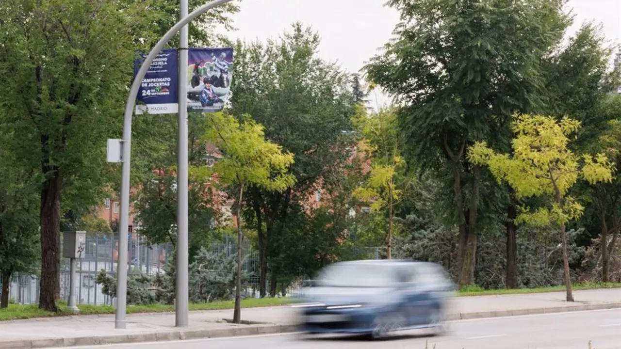 Sinesio Delgado, Madrid