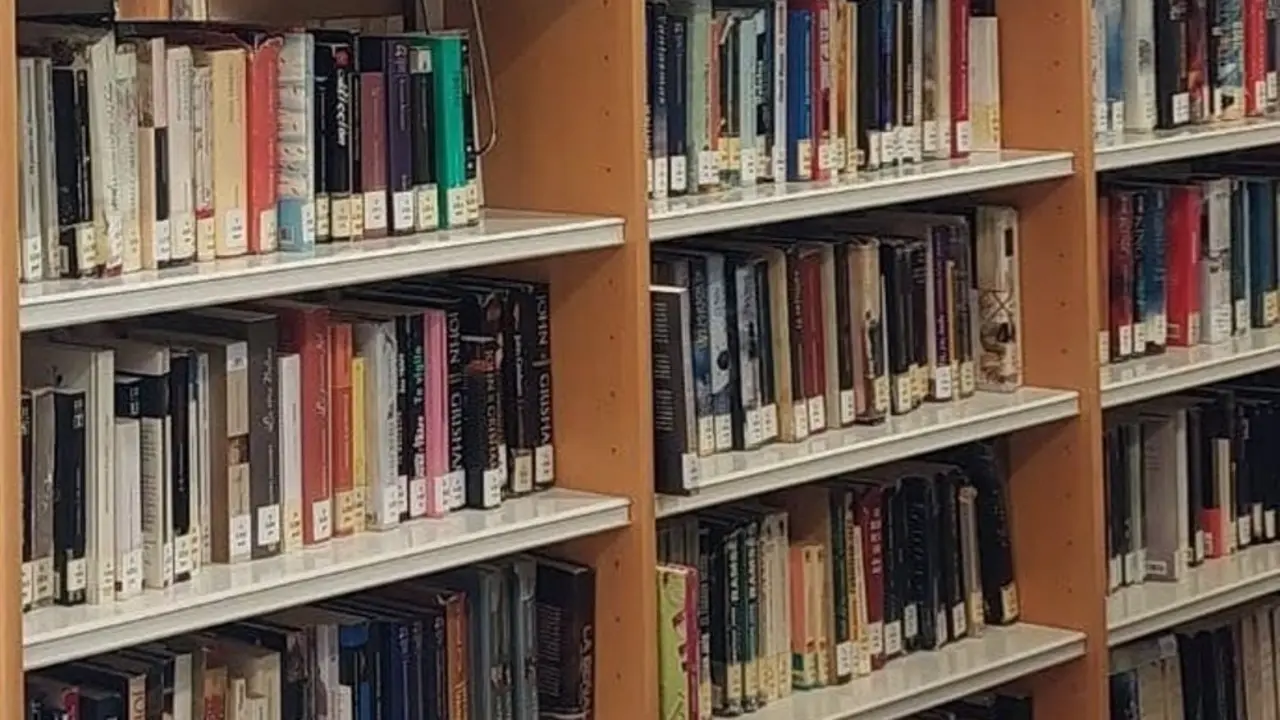 Estanter&iacute;a con libros en una biblioteca de la Comunidad de Madrid. Imagen de archivo.