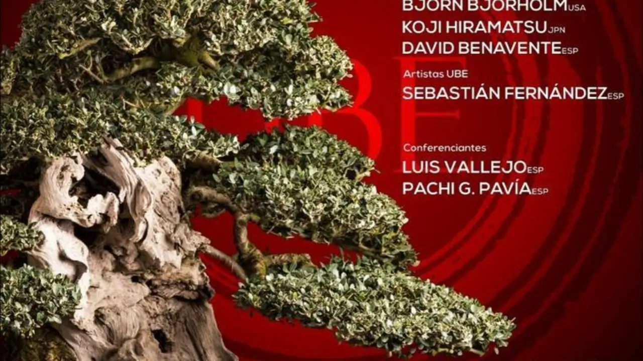 Aranjuez V Convenci&oacute;n Ube Bons&aacute;i