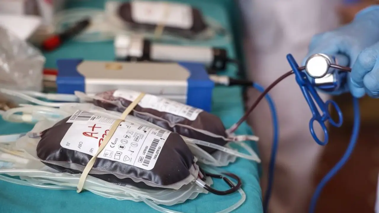 Bolsas con sangre de donantes