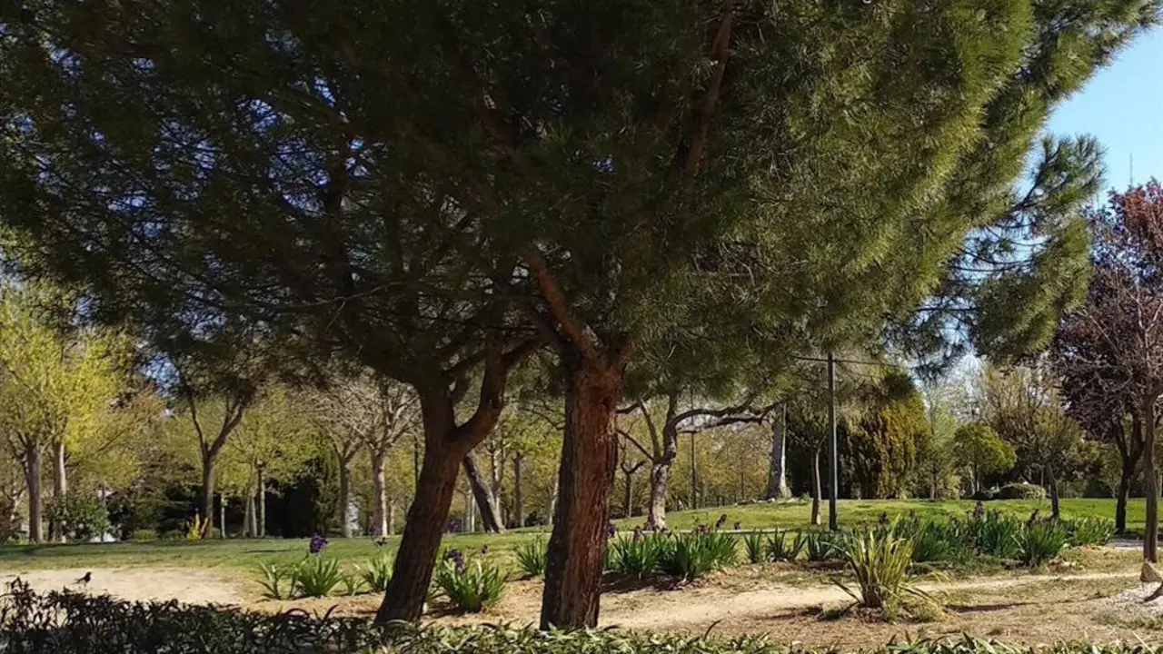 Zona verde con &aacute;rboles.
