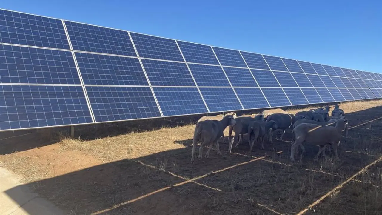 Placas fotovoltaicas
