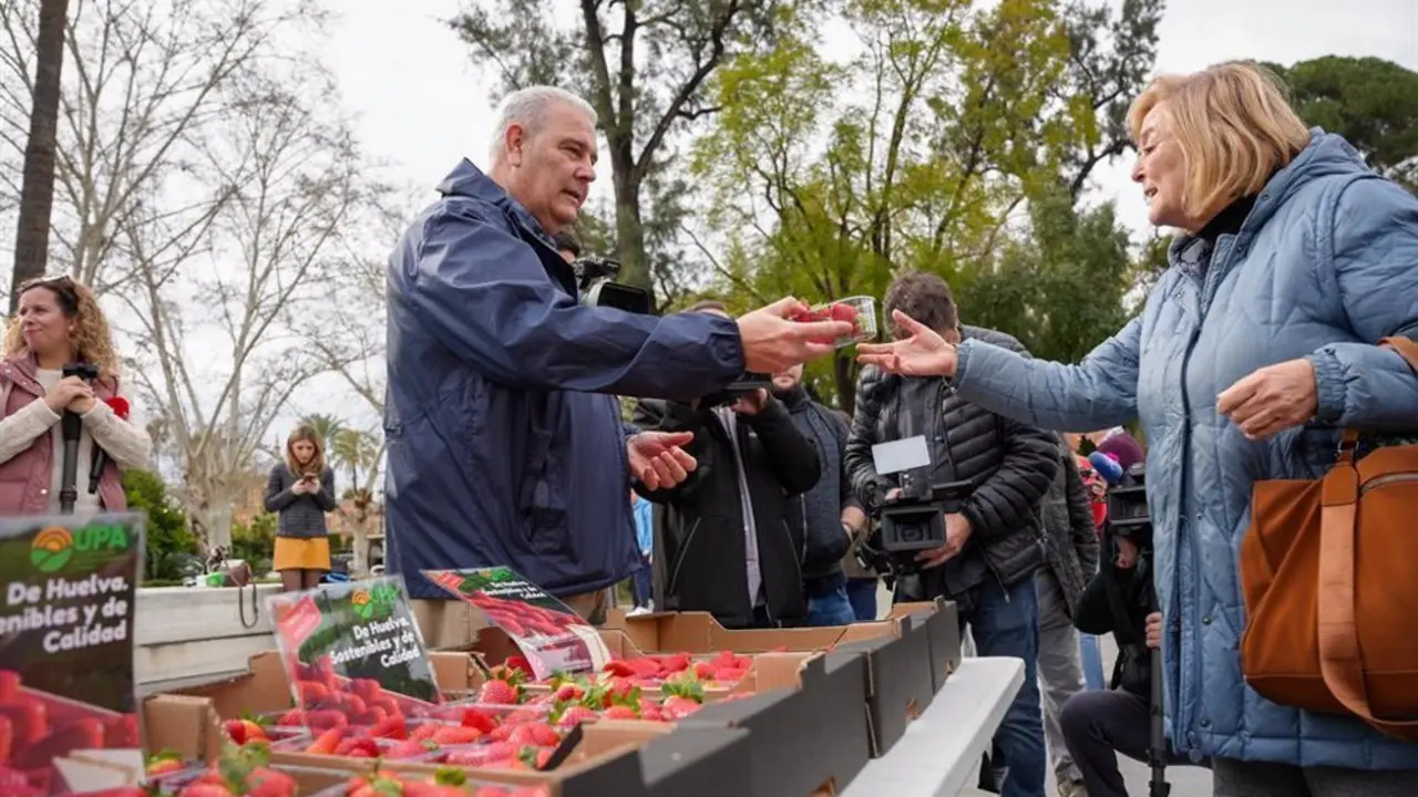 Agricultores repartiendo fresas