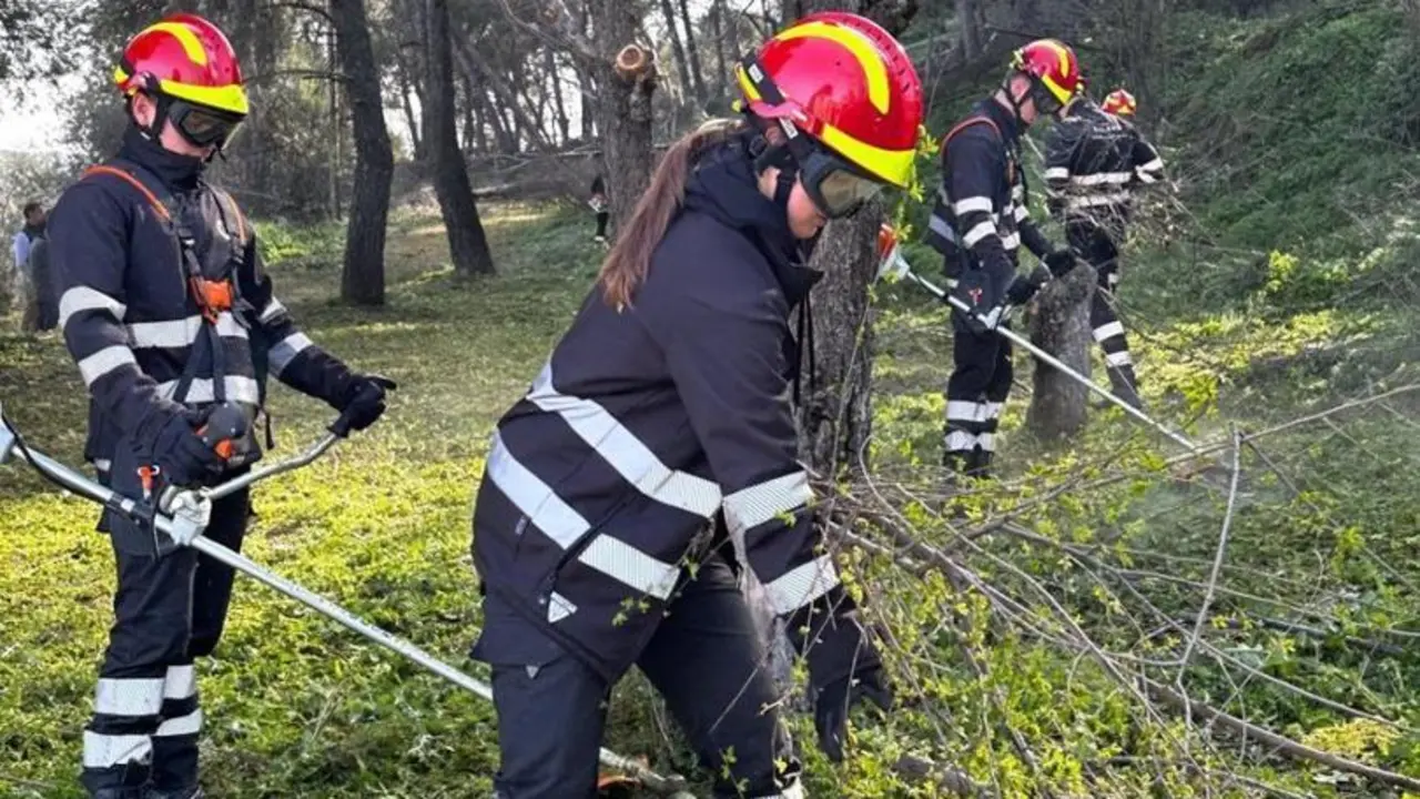 Alumnos del Instituto de Formaci&oacute;n Profesional Claudio Galeno restaurando una parcela municipal