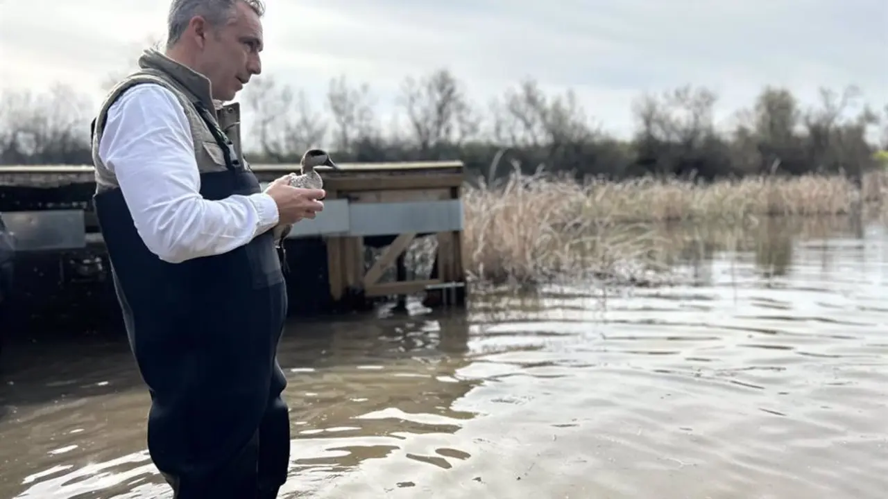 Se&ntilde;or sosteniendo frente a un lago una cerceta pardilla