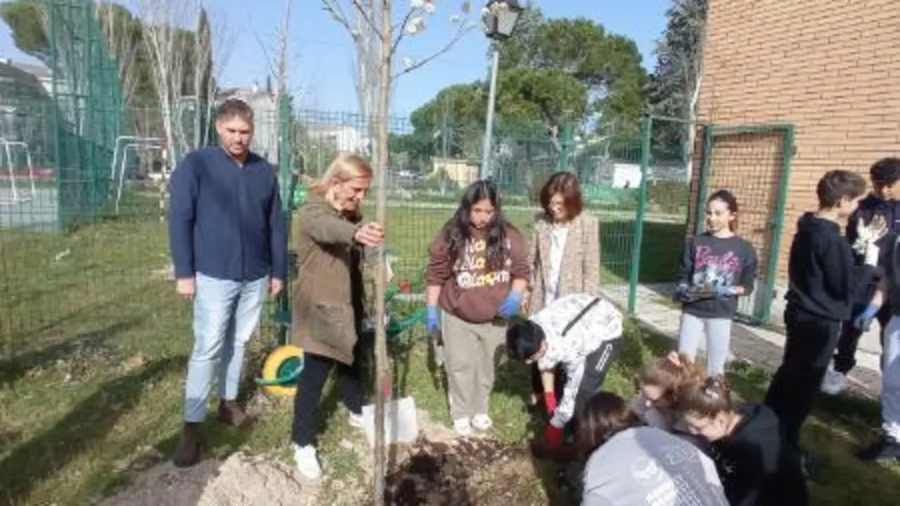 Plantaci&oacute;n de &aacute;rboles en el IES L&aacute;zaro C&aacute;rdenas de Collado Villalba