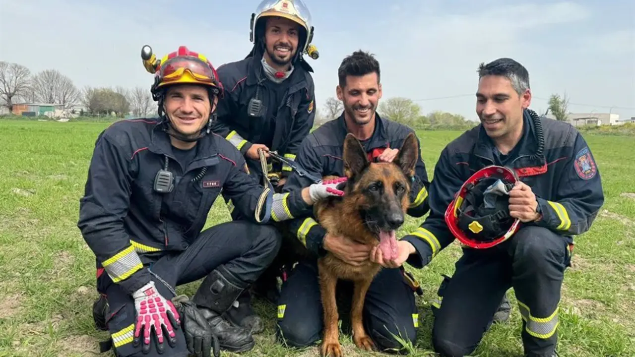 Bomberos con un perro rescatado de un pozo de 4 metros de profundidad en Legan&eacute;s