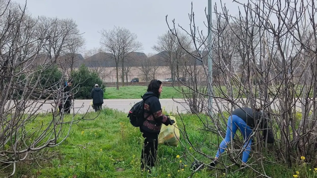 Personas recogiendo basura en el campo