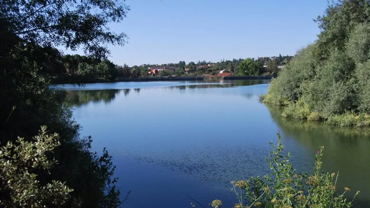 Lago en Torrelodones