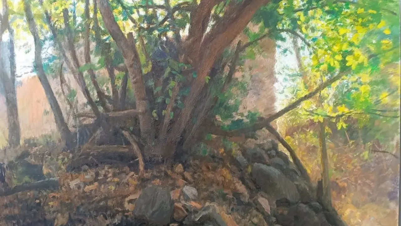 &Aacute;rbol expuesto en Coslada