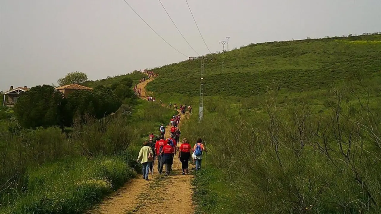 Personas paseando por una ruta en el campo