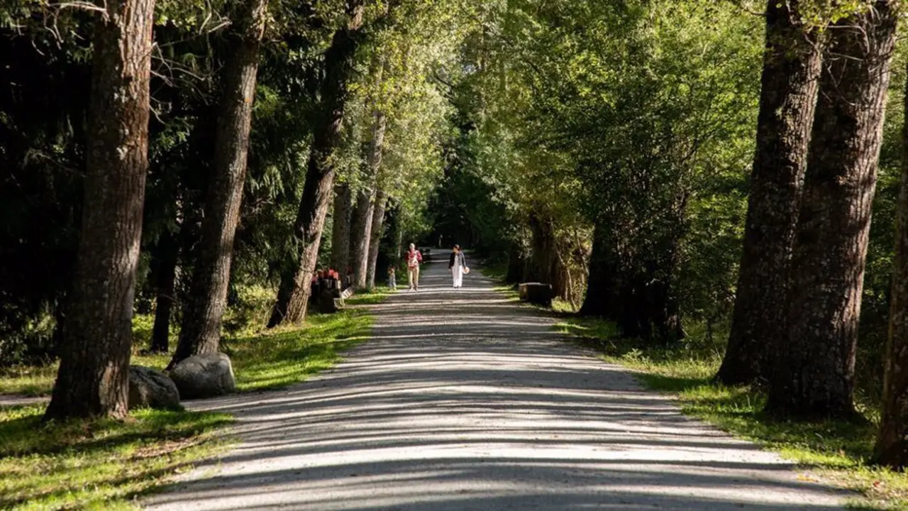 Carretera en medio del campo