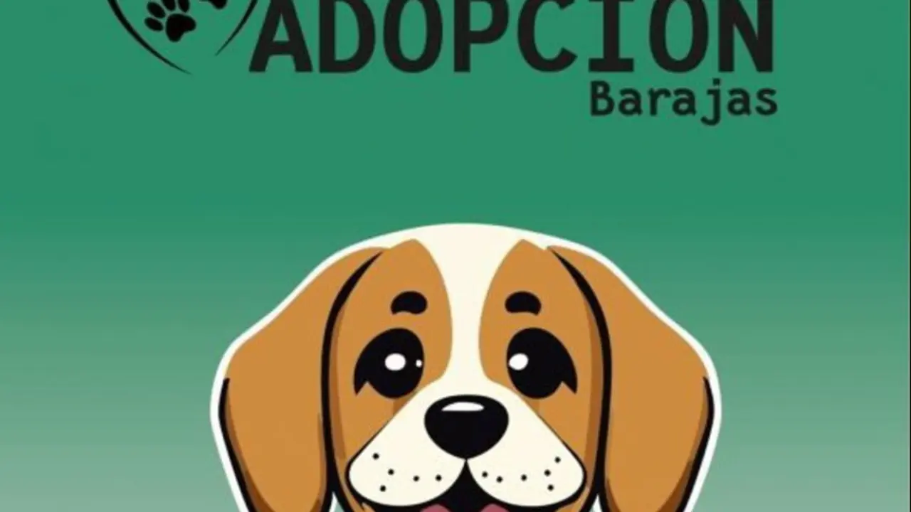 Cartel de las Jornadas de Adopci&oacute;n en Barajas
