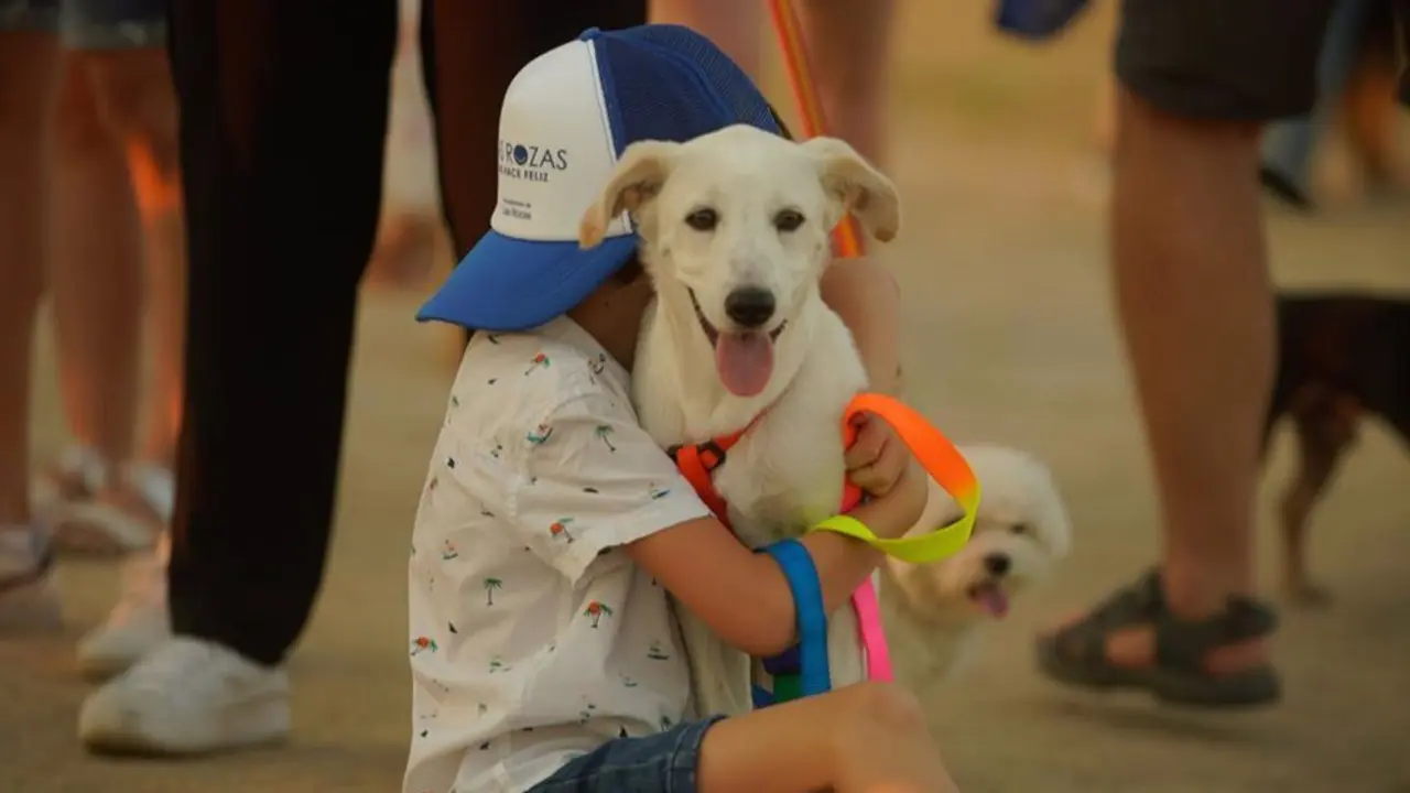 Las Rozas D&iacute;a del Perro sin raza