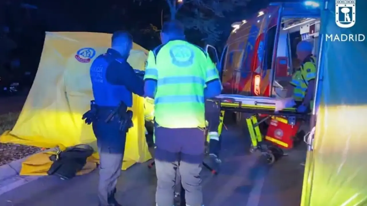 Polic&iacute;a Local de Madrid
