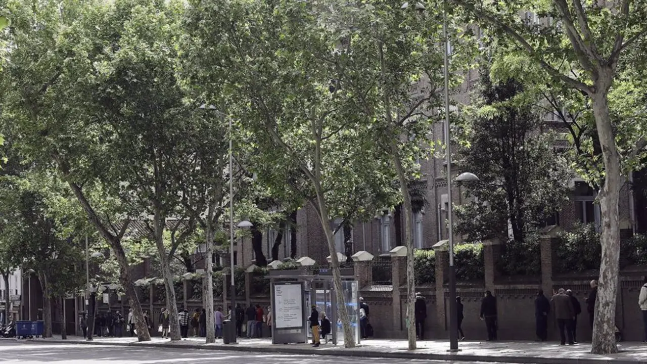 Calle de Madrid