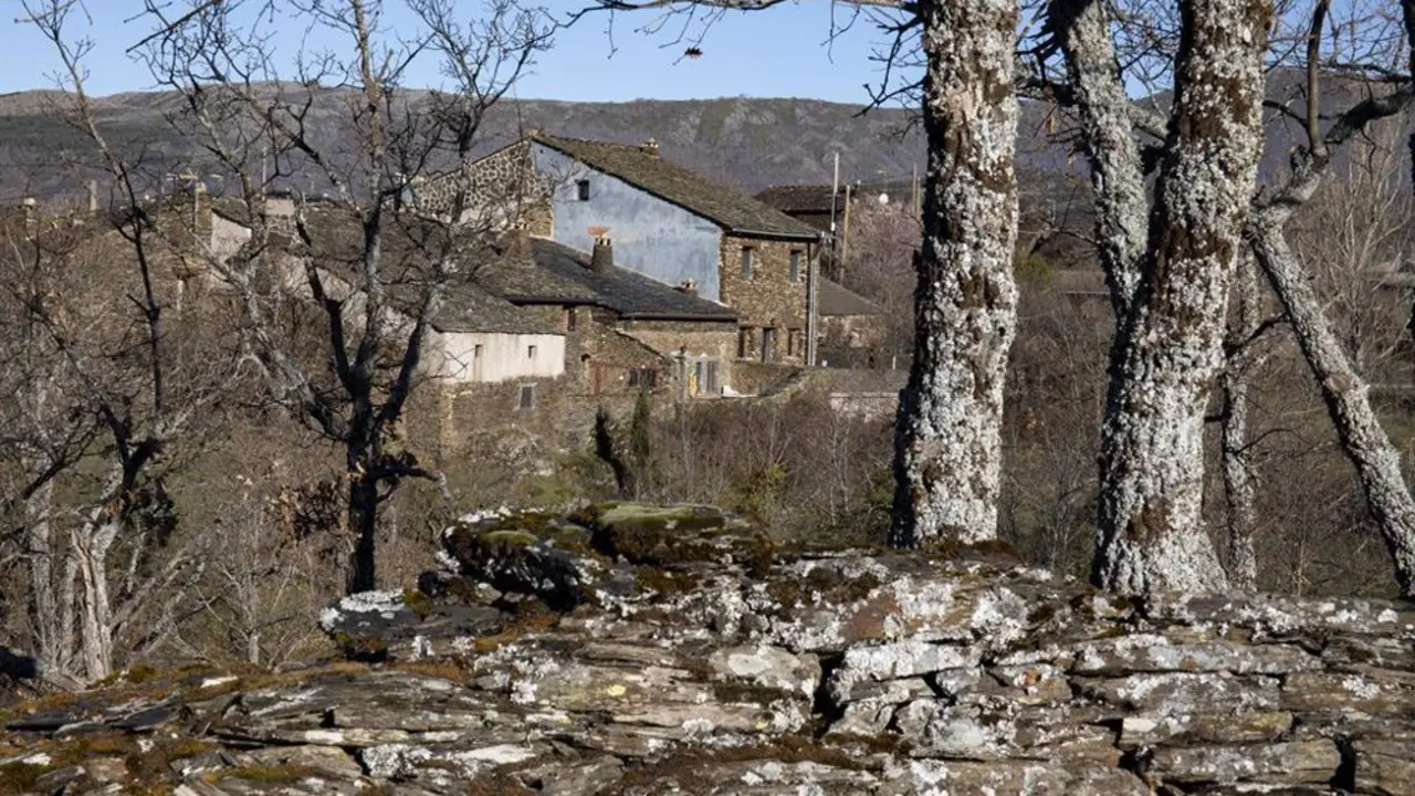 Zona de campo