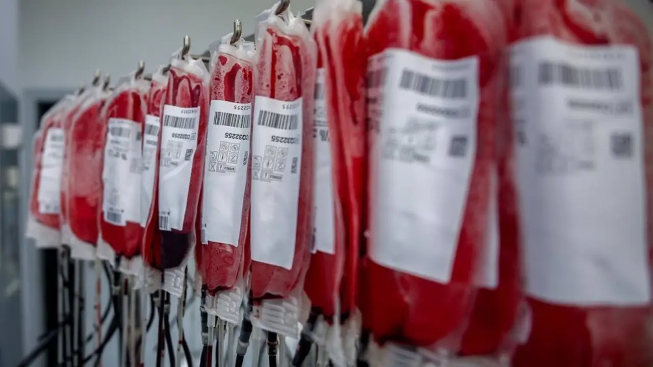 Bolsas de sangre