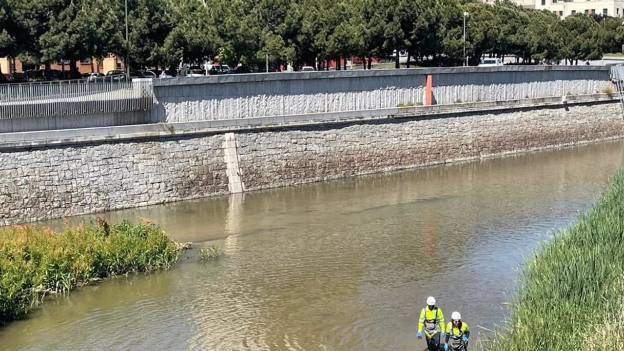 R&iacute;o Manzanares