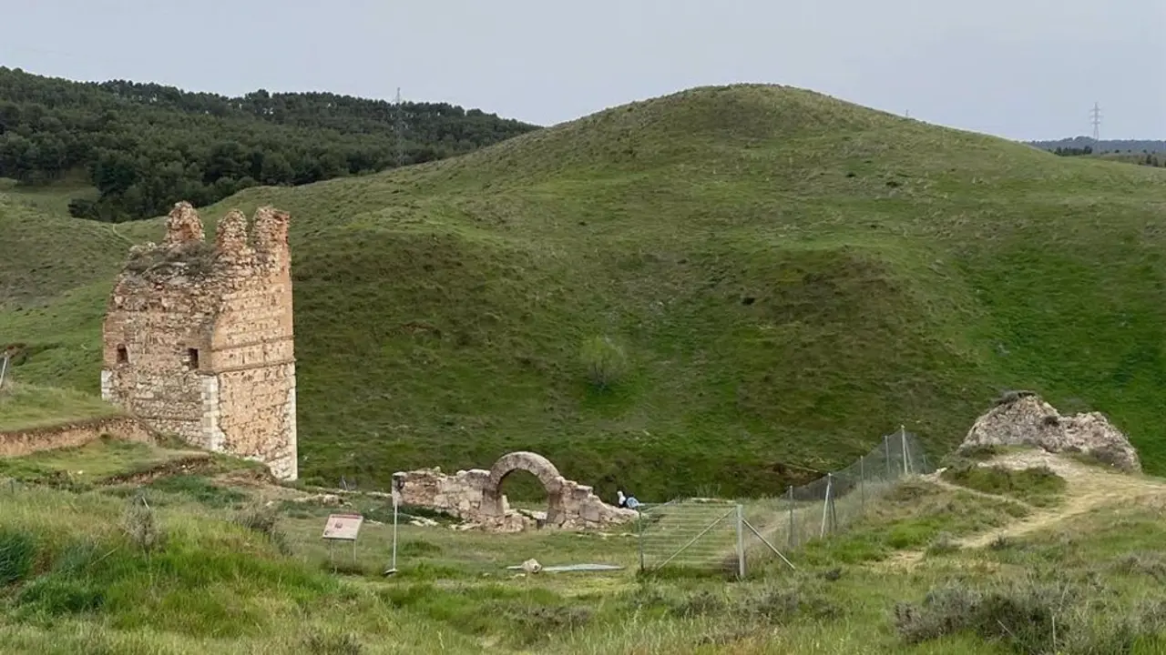 Alcal&aacute; organiza actividades verdes para celebrar la Semana del Medio Ambiente