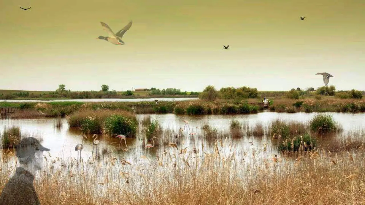 Ecologistas piden al ejecutivo regional una microrreserva de flora en el Arroyo de la Ca&ntilde;ada