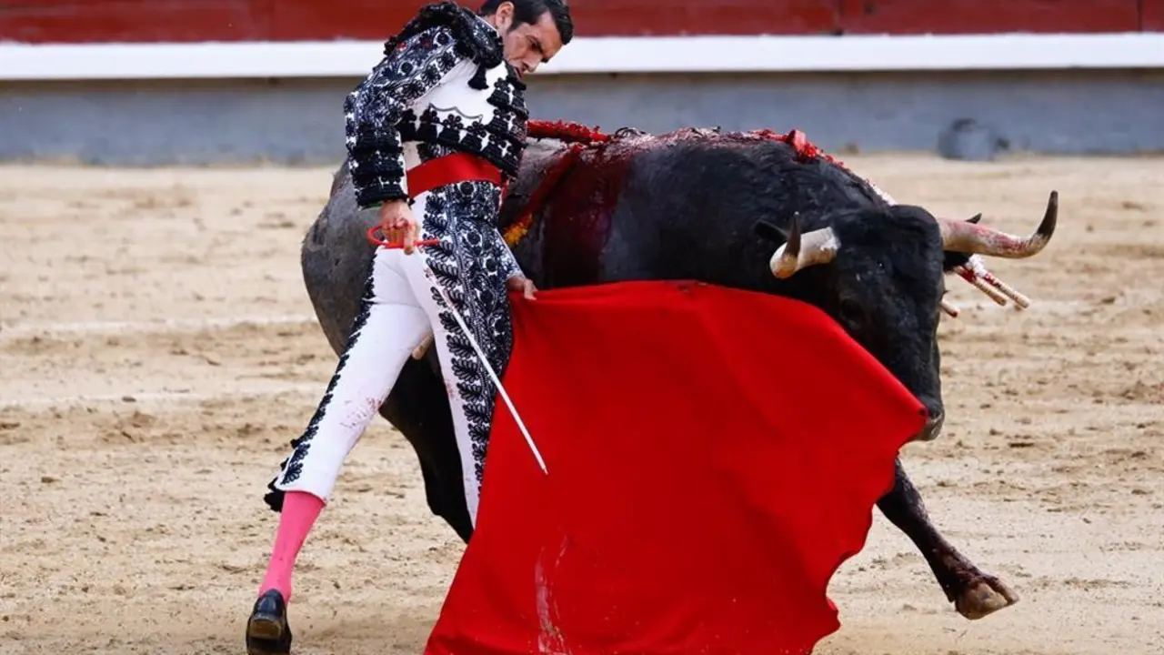 Torero toreando toro.