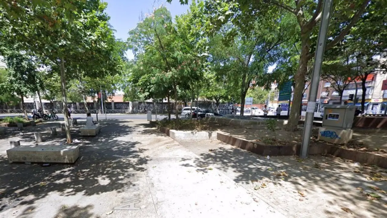 Camino en parque con &aacute;rboles.