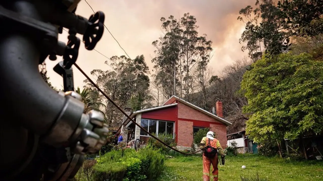 Casa en el bosque