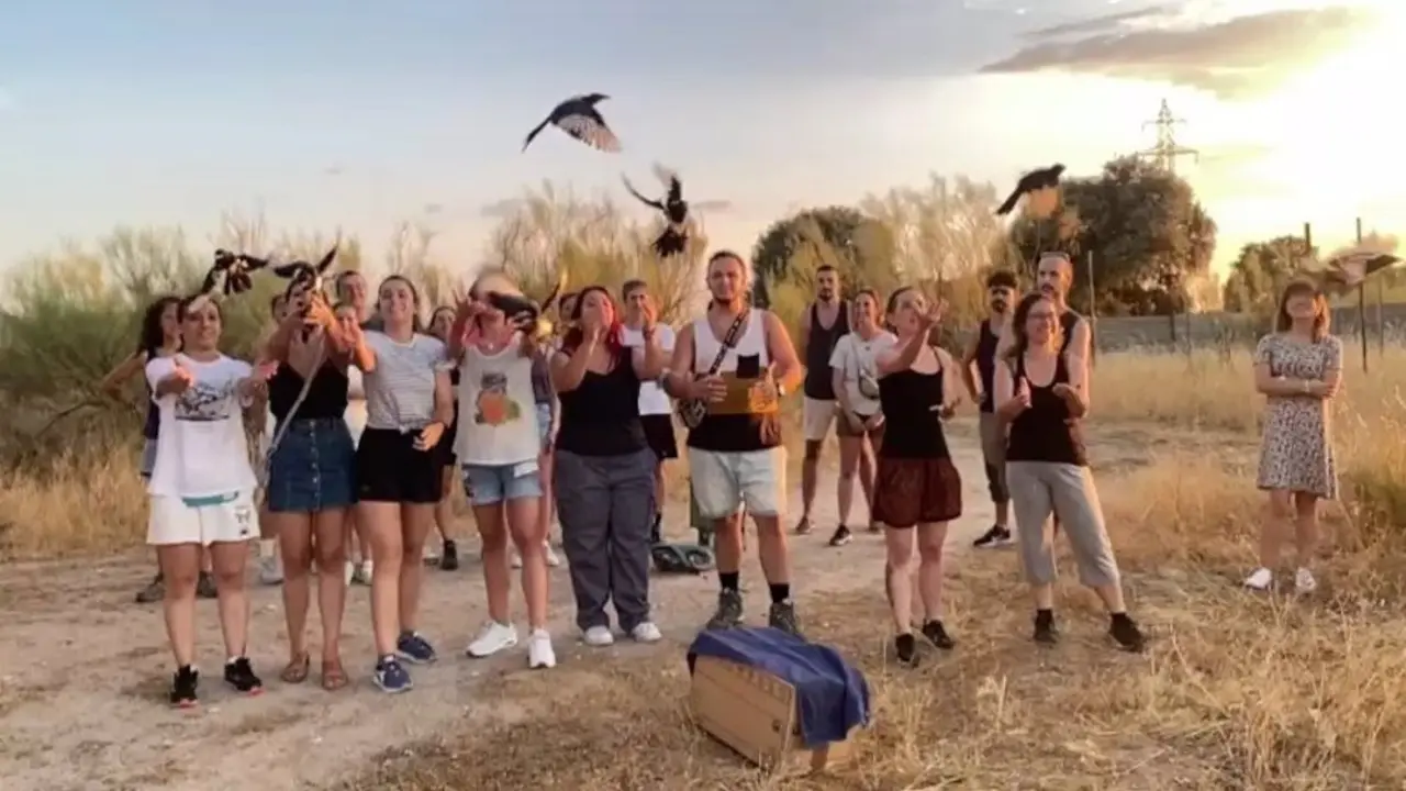 campa&ntilde;a regional 'Peque&ntilde;os Animales Hu&eacute;rfanos'