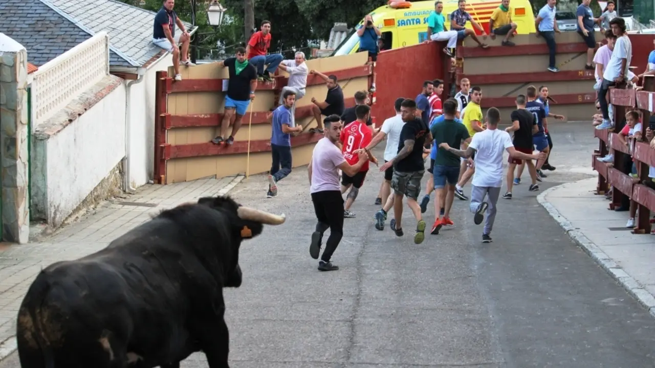 Encierro de toros