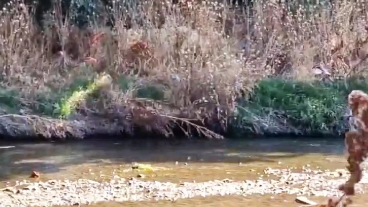 R&iacute;o Manzanares