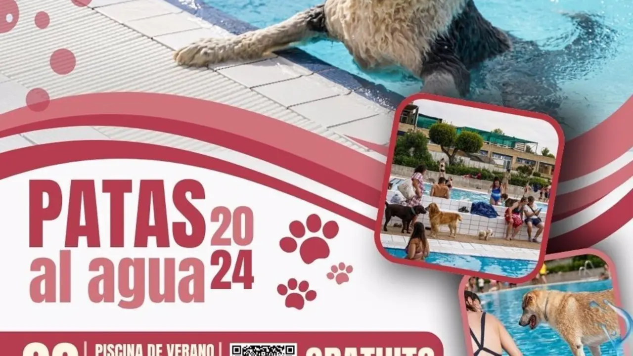Perro en la piscina