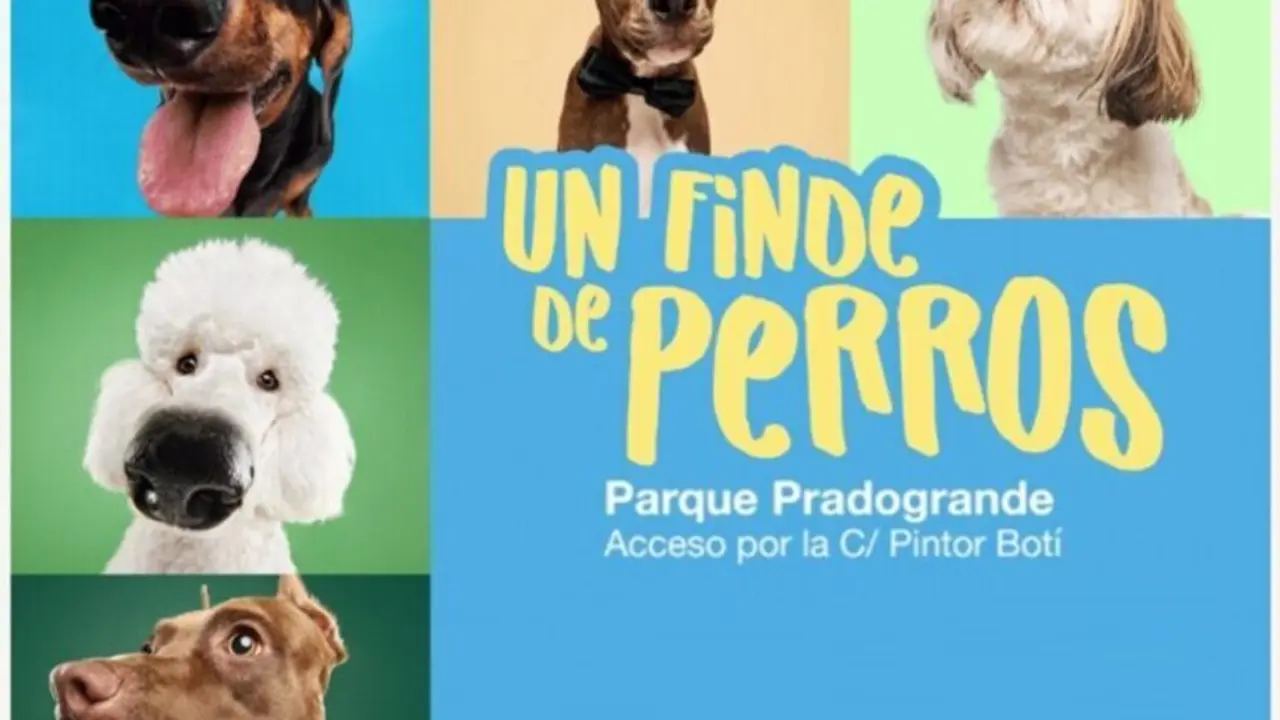 El Parque de Pradogrande acoge los d&iacute;as 5 y 6 de octubre un 'Finde de perros' con talleres y concursos