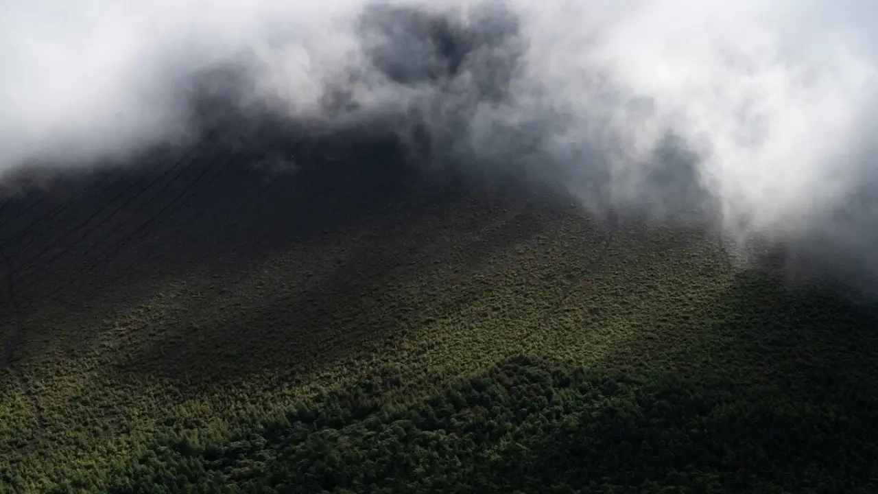 Monta&ntilde;a con niebla