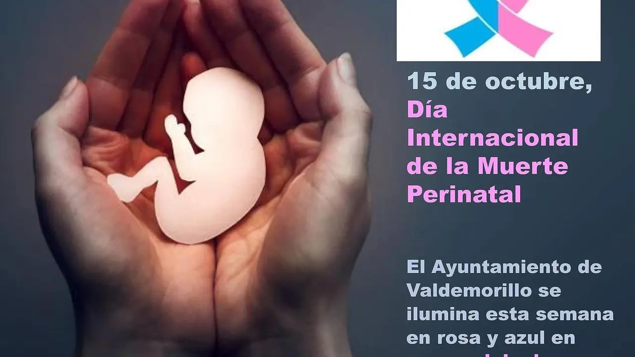 Imagen del panfleto de informaci&oacute;n sobre el evento de encendido de luces en el Ayuntamiento de Valdemorillo