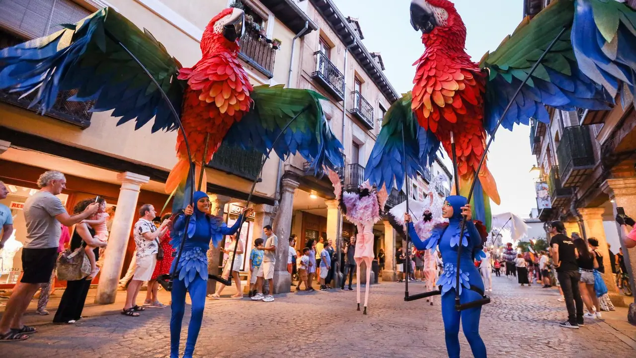 Escena del Festival donde puede apreciarse a dos bailarines disfrazados de Loro bailando por las calles de la ciudad