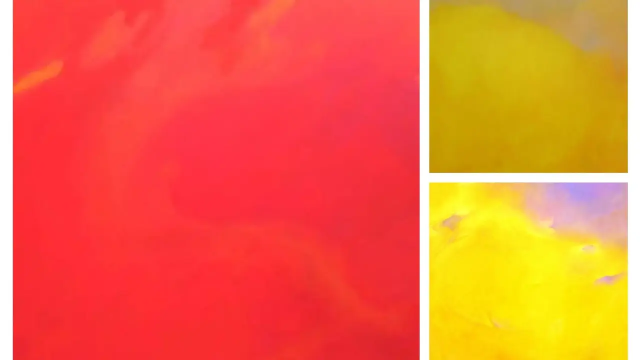 Imagen de obras de la exposici&oacute;n 'Colores de Oto&ntilde;o'.