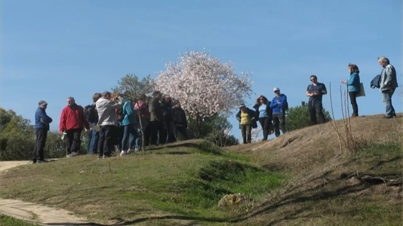 Varias personas en la Dehesa de la Villa