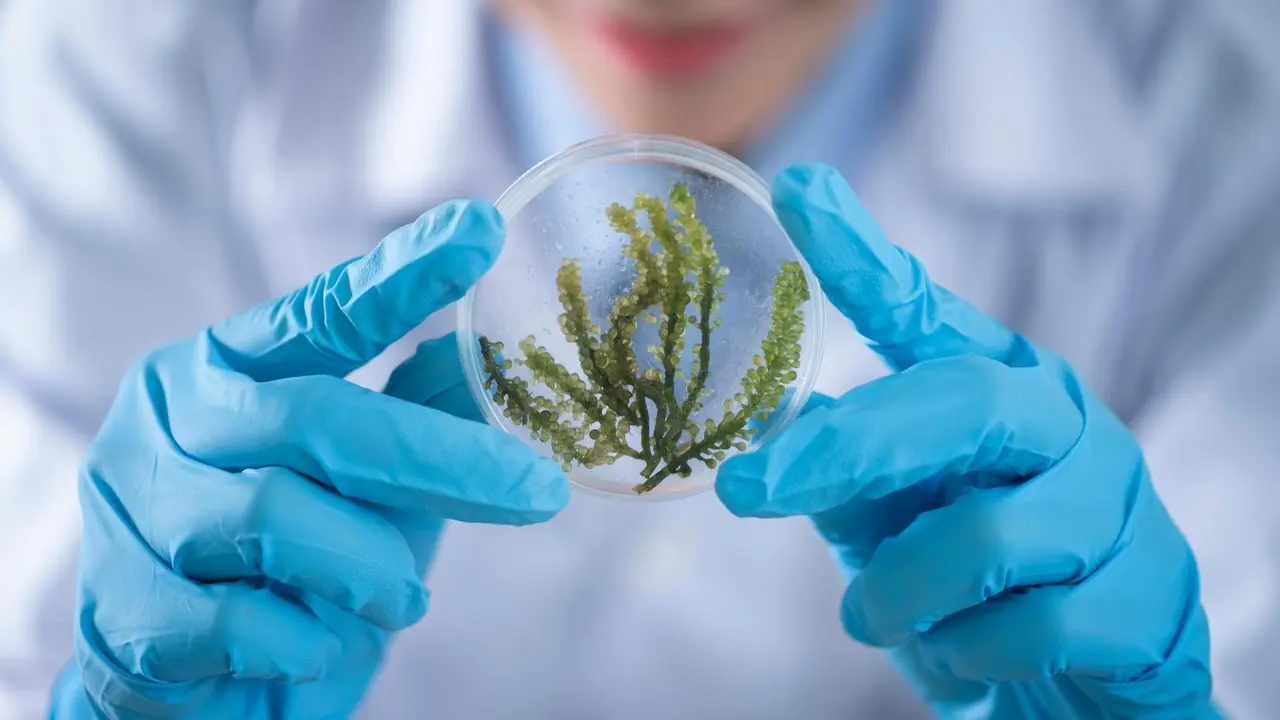 Taller medioambiente, semana de la ciencia.