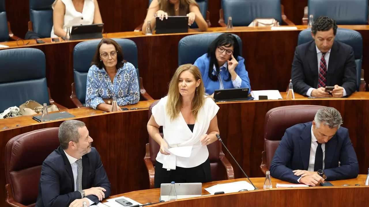 Imagen de archivo. La consejera de Familia, Juventud y Asuntos Sociales, Ana D&aacute;vila, interviene durante un pleno en la Asamblea de Madrid, a 19 de septiembre de 2024, en Madrid (Espa&ntilde;a).
