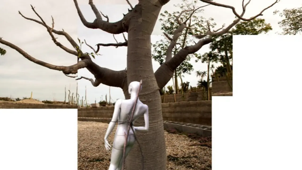 Maniqu&iacute; blanco junto a un &aacute;rbol en representaci&oacute;n de la 'Mujer Ra&iacute;z'