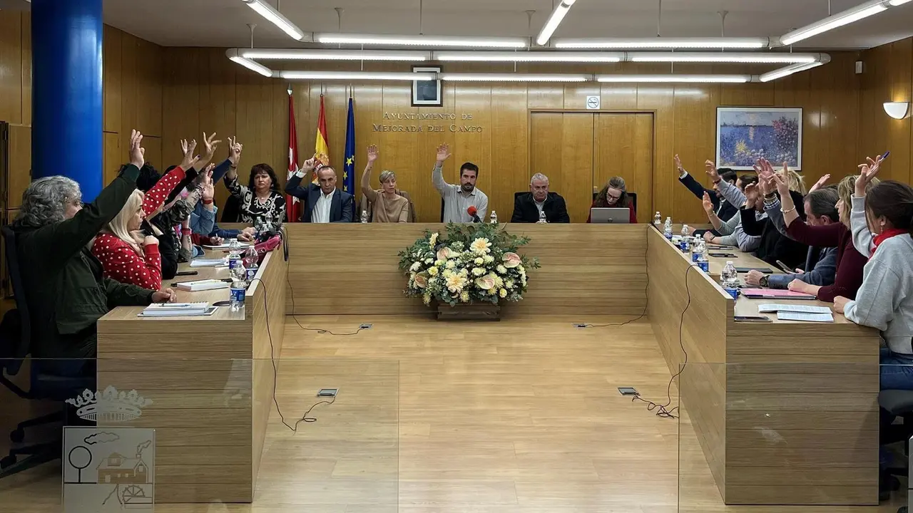 Votaci&oacute;n del Pleno, Mejorada del Campo