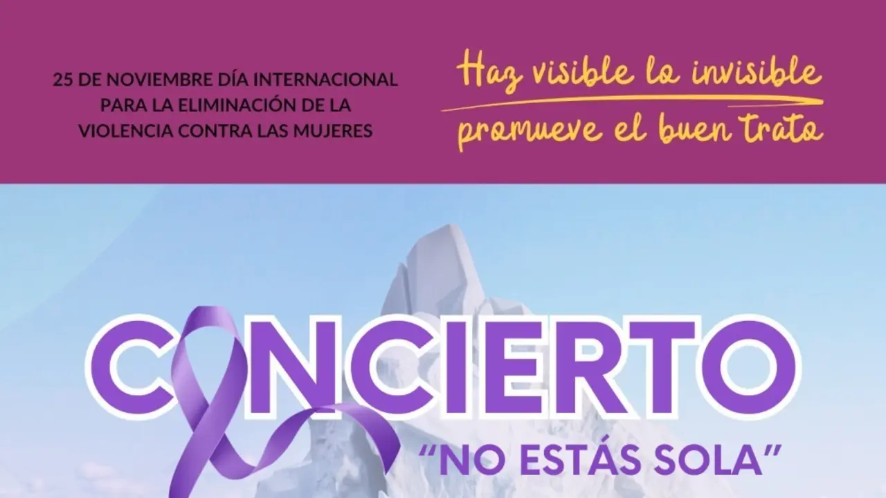 Cartel del concierto 'No est&aacute;s sola' por el 25N en Collado Villalba.