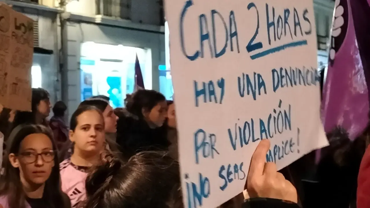 Manifestaci&oacute;n 25N 2024.