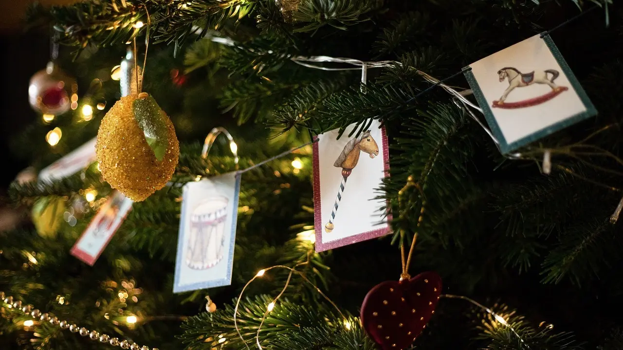 &Aacute;rbol de Navidad con luces y ornamentos.
