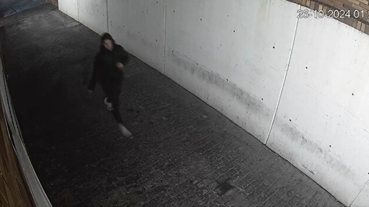 Detenido un pir&oacute;mano que prendi&oacute; coches, contenedores y bolsas de basura en una zona de Majadahonda.