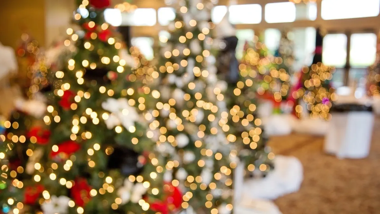 &Aacute;rbol de Navidad con luces.